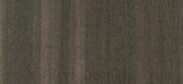 Tay Koto 04.005