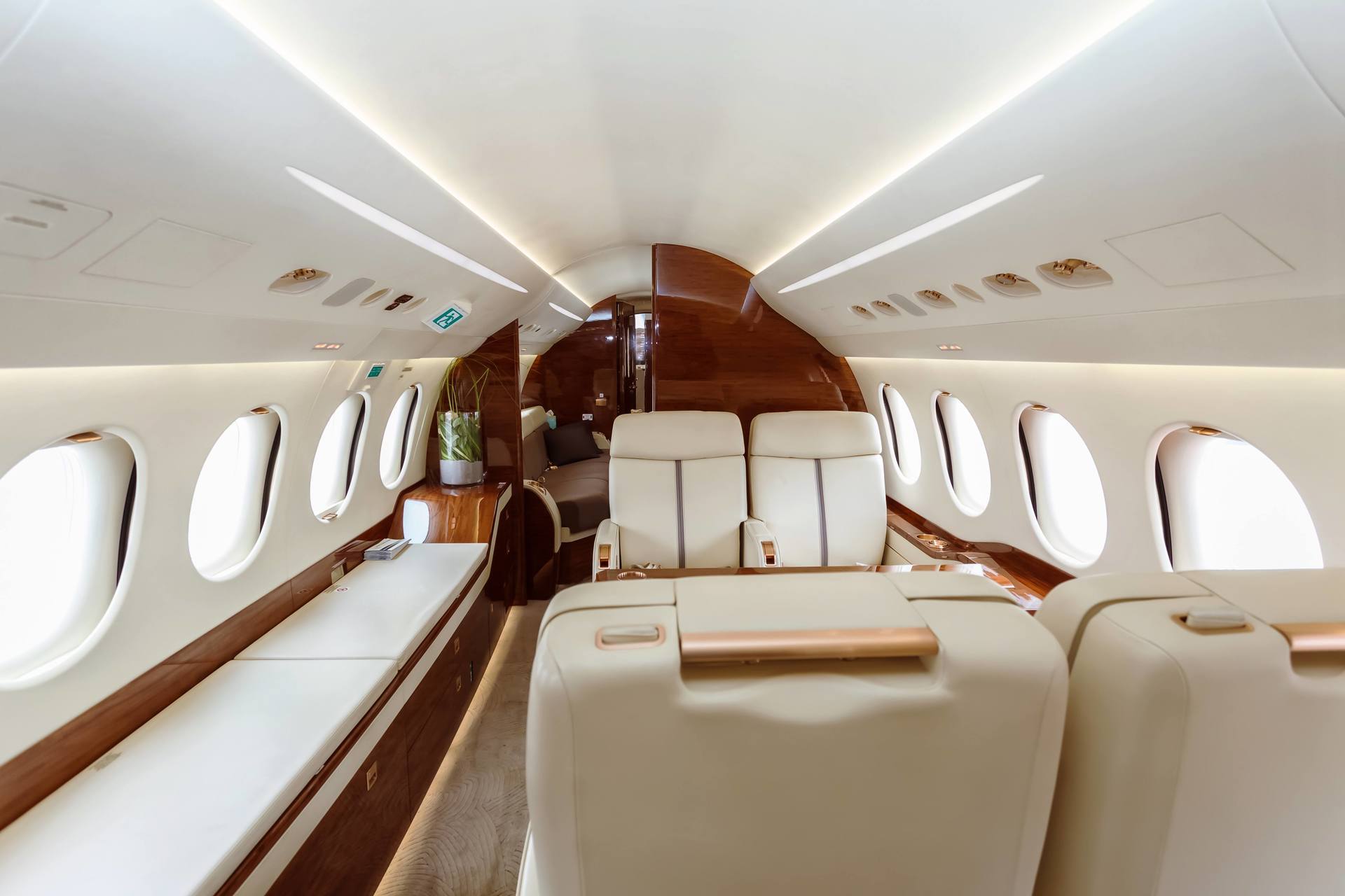 Flexible Veneer on Luxury Aircrafts