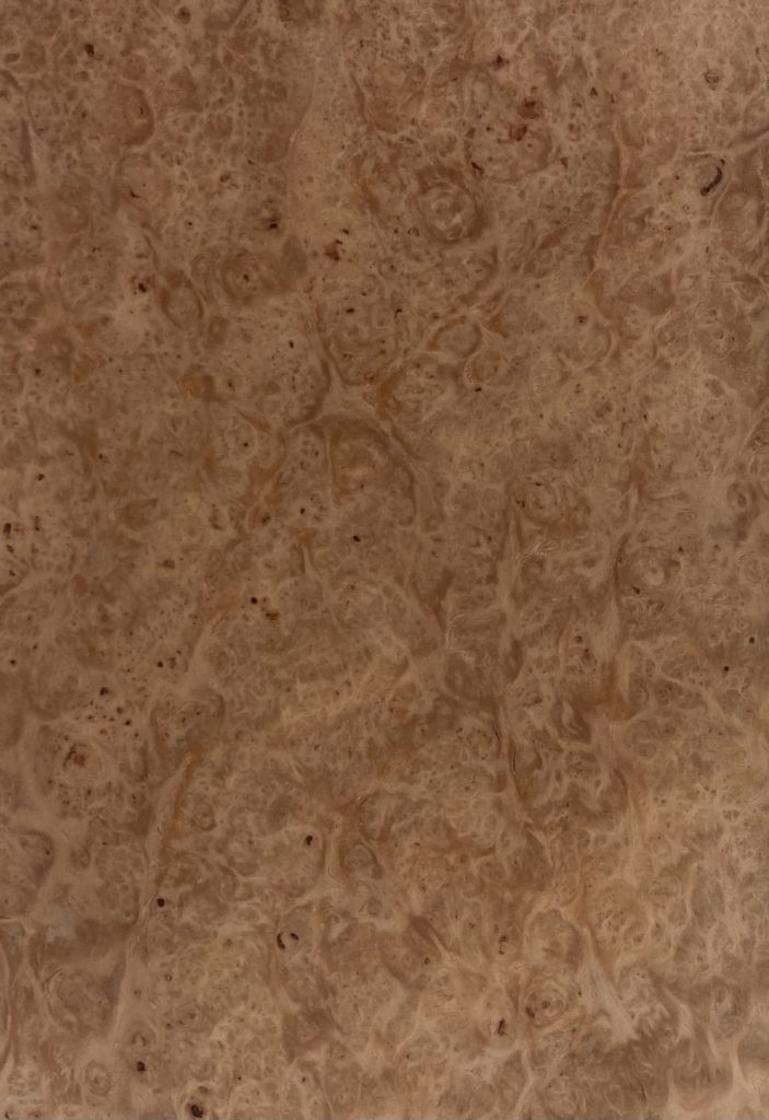 Eucalyptus Burl