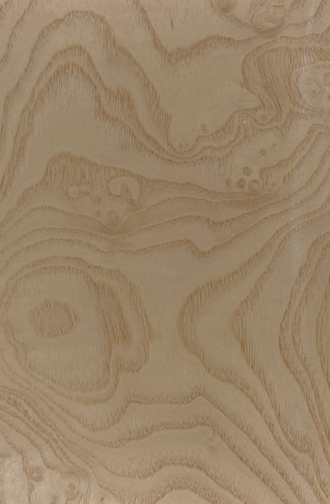 Ash White Burl
