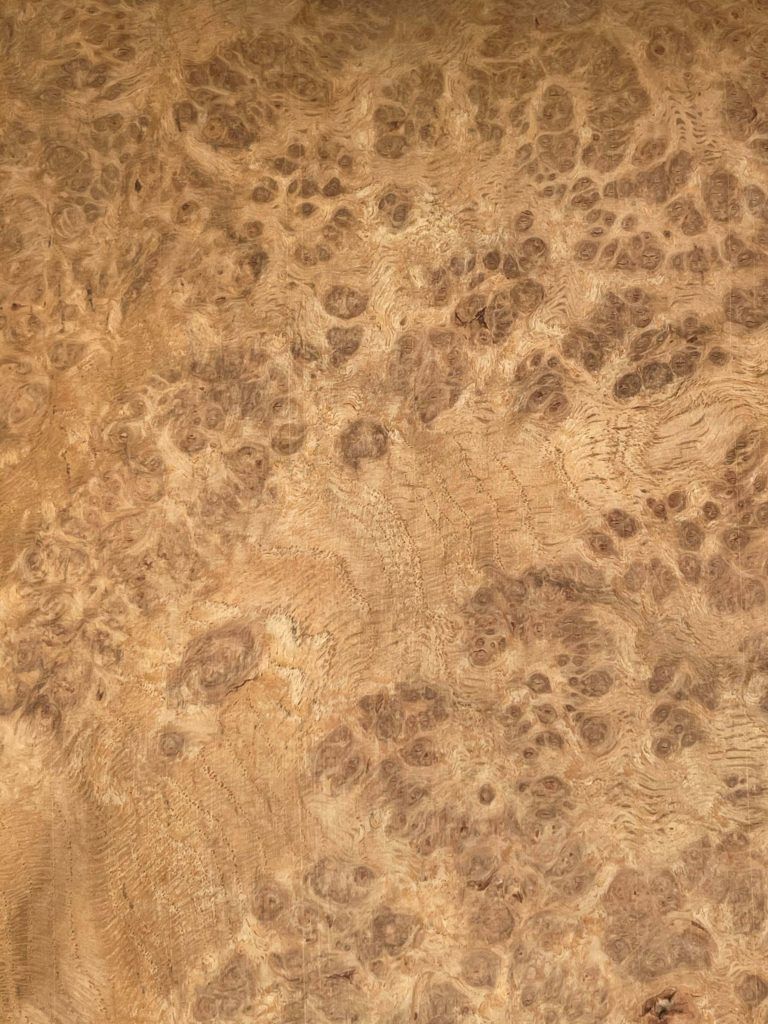 White Oak Burl